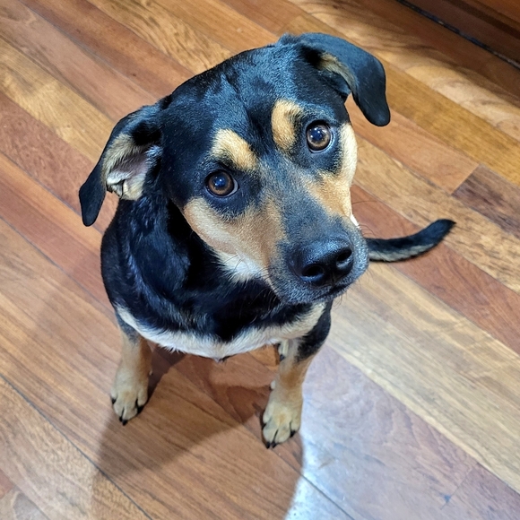 Authentic Designer Items @ Great Prices - Picture 7 of 9